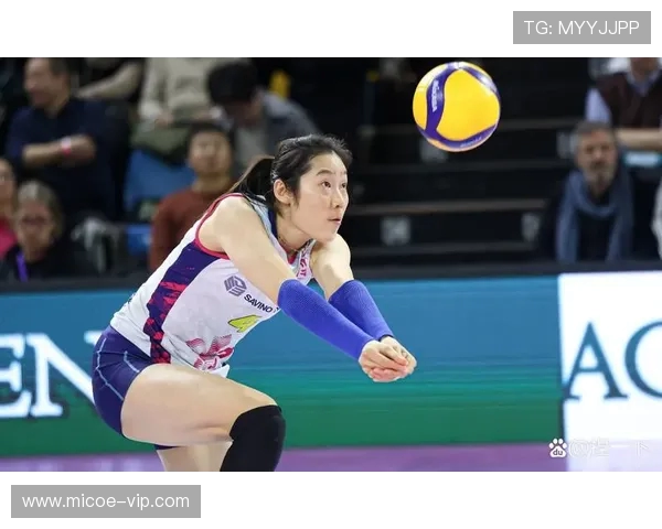 杭州排球队技术实力强劲荣登全国排球技术排行榜第三名