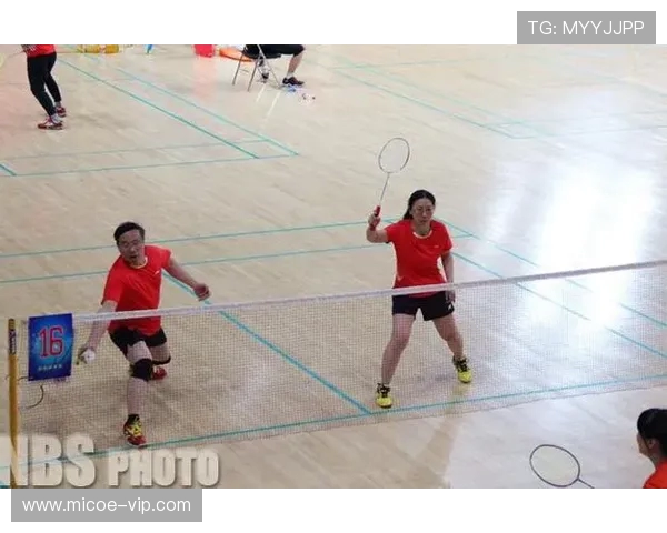 杭州羽毛球队与西安羽毛球队赛后战术分析与总结探讨