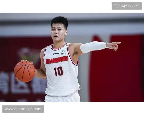 广州篮球队灵活性引发热议球迷与专家各执己见的背后故事